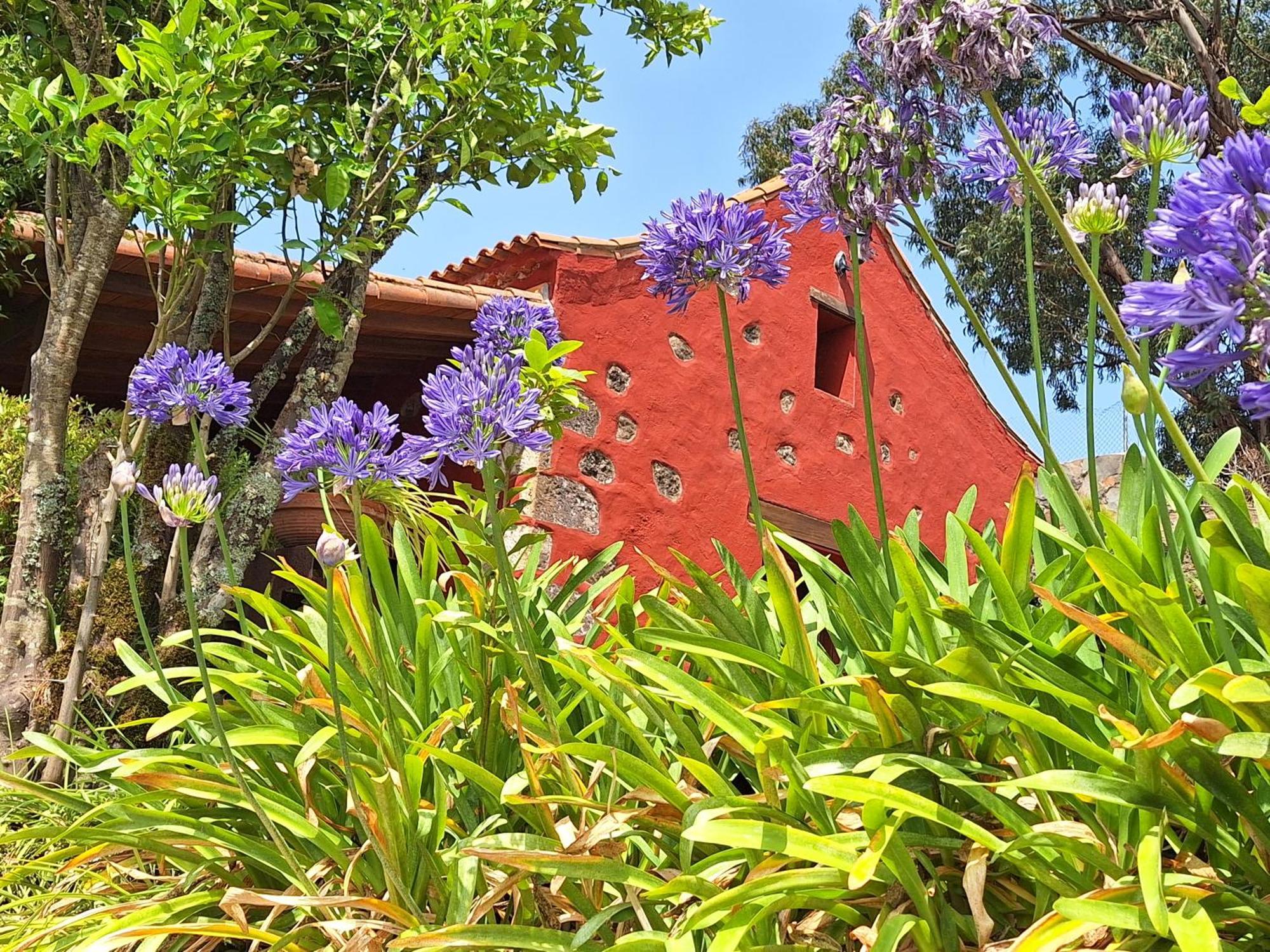 Casa Rural Con Piscina Privada El Roble Moya  Extérieur photo