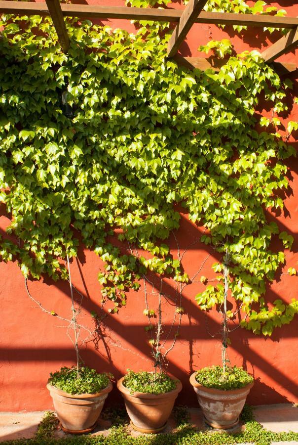 Casa Rural Con Piscina Privada El Roble Moya  Extérieur photo